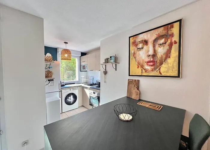 Le Ernest - Piscine, Parking & Jardin Prive Et Climatisation